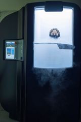 2019 Cryo Arctic, New York, USA