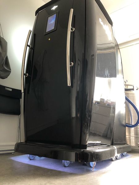 2021 Wellsess Recovery Capsule Cryostar, Sweden used cryotherapy - photo 3