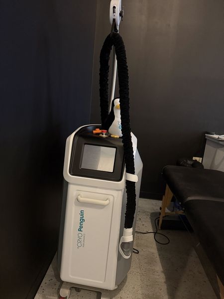 2022 used Cryo Penguin by CryoScience, localized cryotherapy dev - photo 1