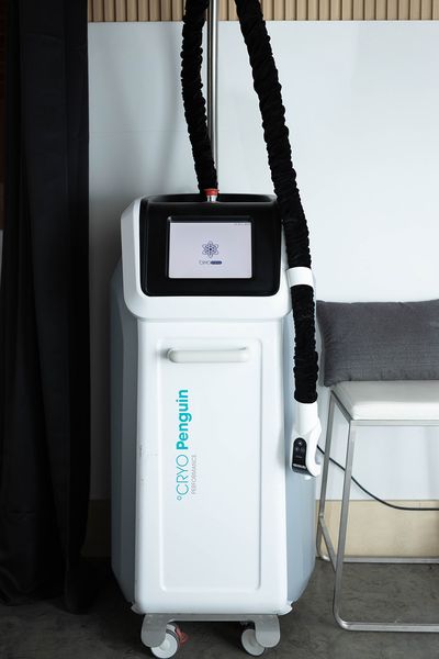 2023 Cryoscience Cryo Penguin used local cryo machine, USA - photo 2