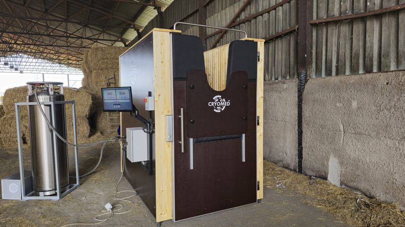 2025 Equine Cryo cryosauna, Nove Zamky, Slovakia - Foto 2